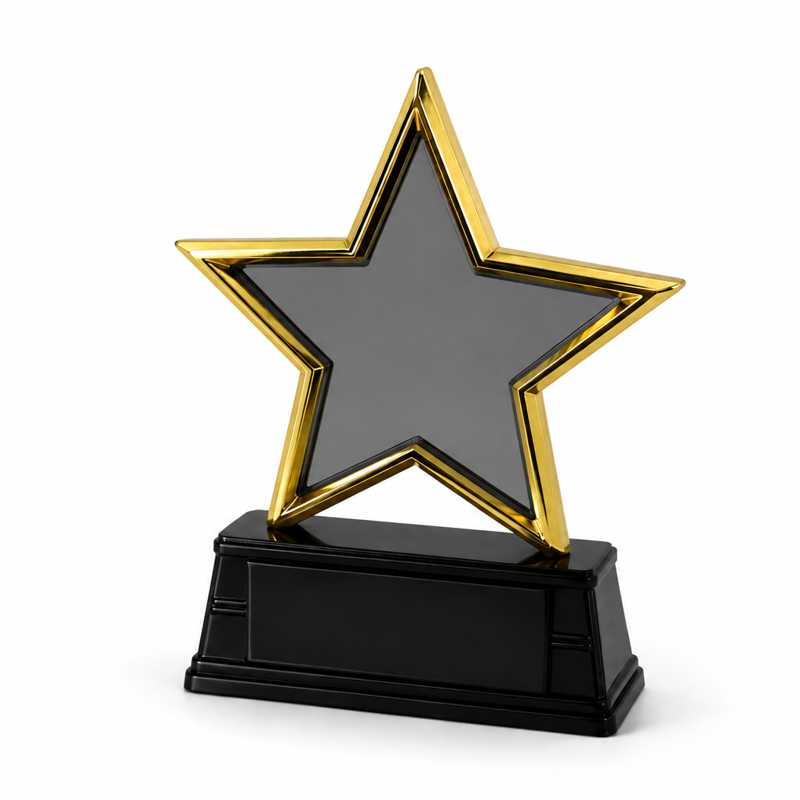 Metal Yıldız Plaket